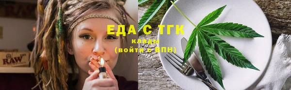 тгк Медногорск