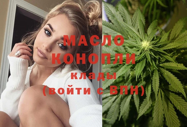 тгк Медногорск