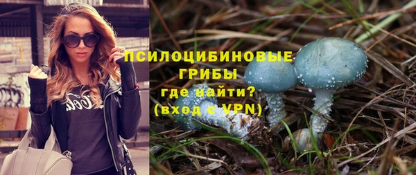 хмурый Мегион