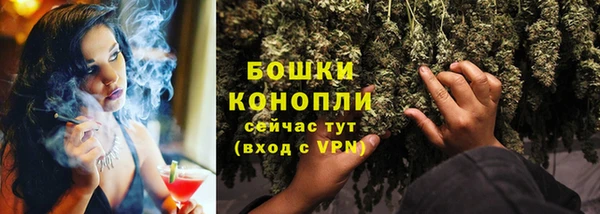 хмурый Мегион