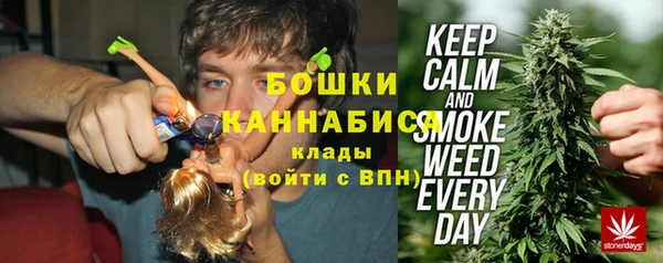 хмурый Мегион