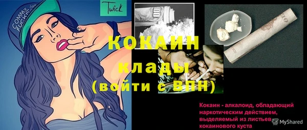 хмурый Мегион