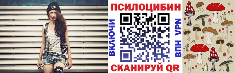 Галлюциногенные грибы GOLDEN TEACHER  Купить где  Бикин 